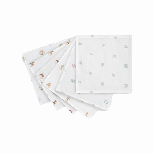 6-piece Muslin Mouth Cloth Set